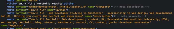 Meta titles for homepage